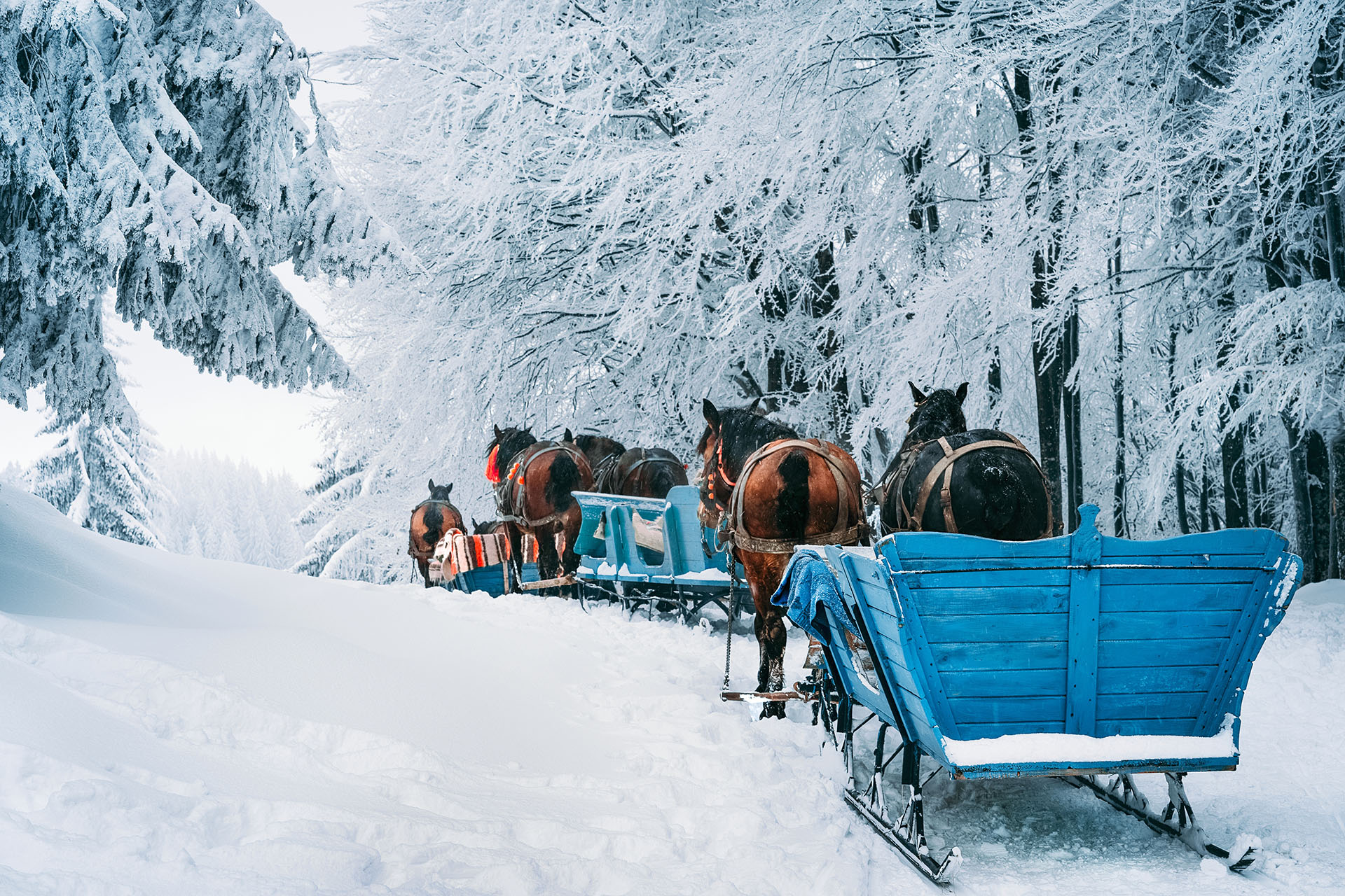 Two Sleigh Bells Required When Travelling Upon a Highway By Sleigh Pulled By Horse or Reindeer